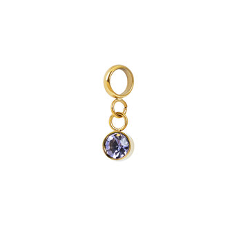 iXXXi Connect Charm Stone Purple Goudkleurig