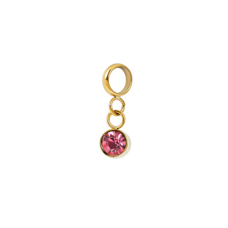 iXXXi Connect Charm Stone Pink Goudkleurig